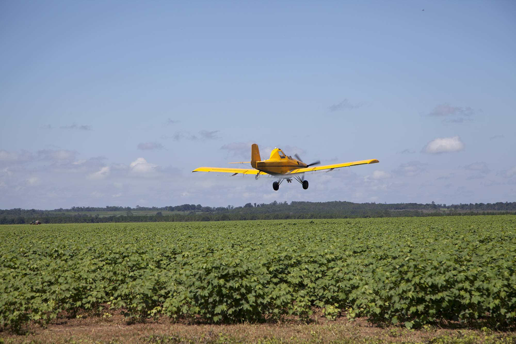 A crop duster airplane flies over a field. 